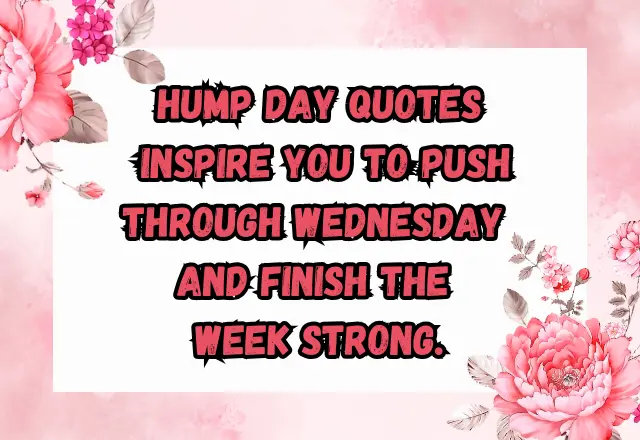 170+ Powerful Hump Day Quotes to Boost Your Midweek Motivation